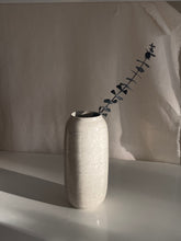 Load image into Gallery viewer, Salt n pepper pill vase