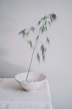 Load image into Gallery viewer, Porcelain Ikebana Set